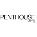Penthouse (Germany)