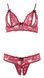 Комплект белья - 2212447 Bra Set, S 513222124473021 фото 5
