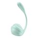 Smart Vibrating Egg - Satisfyer Smooth Petal Connect App Mint