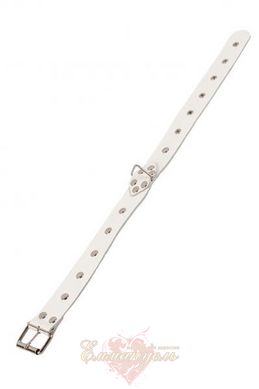 Leather Restraints Collar, white