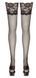Панчохи - 2520591 Hold-up Stockings, 2 513225205911611 фото 3