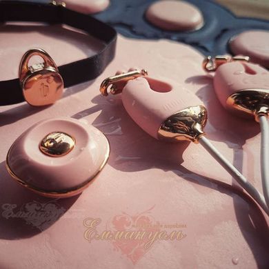 Set of vibrating nipple clamps and collar - Qingnan No.2, pink