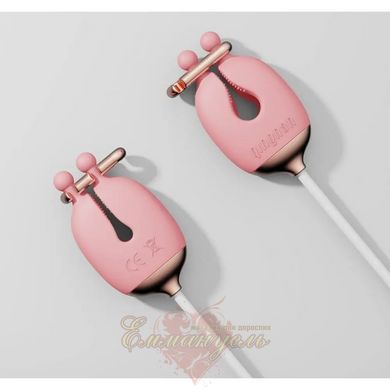 Set of vibrating nipple clamps and collar - Qingnan No.2, pink