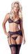 Комплект білизни - 2212463 Lace Suspender Set, S 513222124631021 фото 1