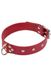 Dominant Collar, red