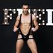 Men's erotic costume 'Frank Fred'