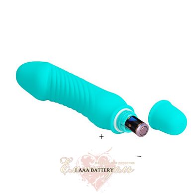 Mini vibrator - Pretty Love Stev Vibrator Blue