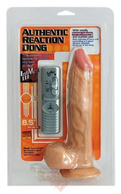 Vibrator - Auth. Reaction Dong