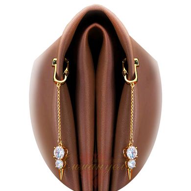 Jewelry for the clitoris and labia - UPKO Non-pierced Jewelry Snowman with rhinestone, gold