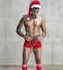 Новогодний мужской эротический костюм - JSY Любимый Санта