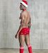 New Year's erotic costume - JSY Favorite Santa