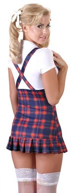 Role costume - 2470586 School Girl, S