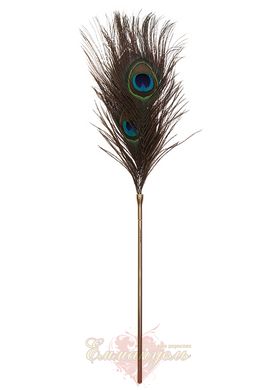 Перо Павлина - Taboom Peacock Tickler