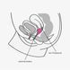 Menstrual cup - Fun Factory FUN CUP SIZE A, turquoise, reusable, diameter 4 cm, volume 20 ml SX0953 - photos (5