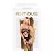 Бодістокінг з вирізом на животику Penthouse Hot Nightfall чорний XL &ndash; еротичний комбінезон-сітка з поясом і чулками SO5268 фото 5