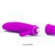 Вибратор - Pretty Love Arnd 6603BI0208 фото 7