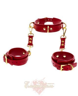 Collar with handcuffs - Taboom D-Ring Collar and Wrist Cuffs TB17154 &mdash; photos