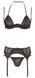 Комплект белья - 2211750 Bra Set Strip, 75B/S 513222117501231 фото 7