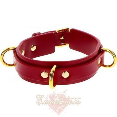 Collar with handcuffs - Taboom D-Ring Collar and Wrist Cuffs TB17154 &mdash; photos
