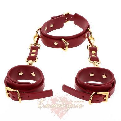 Collar with handcuffs - Taboom D-Ring Collar and Wrist Cuffs TB17154 &mdash; photos