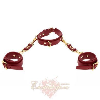 Collar with handcuffs - Taboom D-Ring Collar and Wrist Cuffs TB17154 &mdash; photos