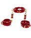 Collar with handcuffs - Taboom D-Ring Collar and Wrist Cuffs TB17154 - photos (3