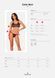 Obsessive Celia Noir Sexy Lingerie Set XS/S &mdash; Sheer Mesh Bra and Thong, Black, 2-Piece SO7865 - photos (6