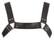 BDSM Miscellaneous - 2010003 Leather Chest Harness