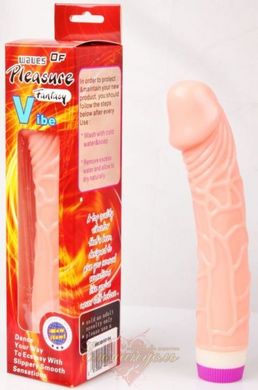 Realistic vibrator - Classic Jelly Vibe Flesh 23 cm.