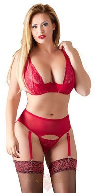 Комплект белья - 2212633 Bra Set red, 85D/L 513222126333431 фото