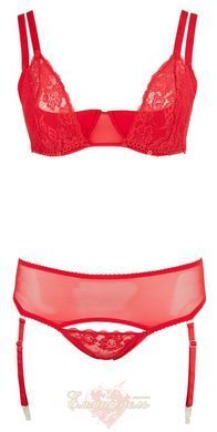 Комплект белья - 2212633 Bra Set red, 85D/L 513222126333431 фото