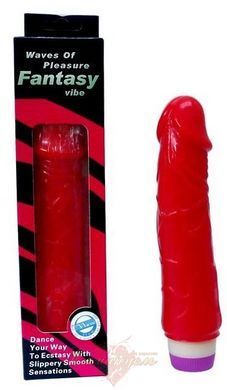 Vibrator - Classic Jelly Vibe Red 20 cm. 6603BW0157 &mdash; photos