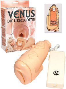 Мастурбатор вагина - Masturbator Venus 61325527200000 фото