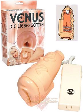 Мастурбатор вагіна - Masturbator Venus