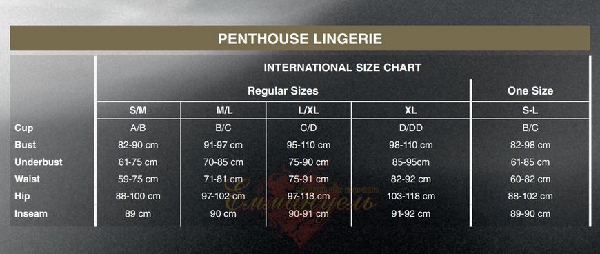 Приталенная сорочка-сетка со стрингами - Penthouse - All Yours Black L/XL
