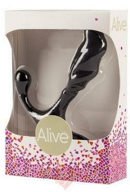 Inexpensive Prostate Massager - Alive Nero for beginners, silicone and plastic, great for a start