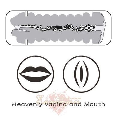 Мастурбатор рот + піхва - Virgin-Skin Blowout Double Side Stroker 66-LV250015 фото