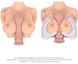 Masturbator Breasts - Kokos Bouncing Titties D