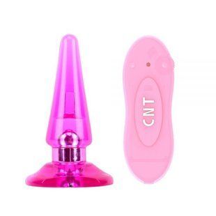 Плаг з вібрацією - NICOLE'S Anal Pleaser-Pink виносний пульт CH10600 фото