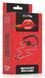 Gag with silicone ball and nipple clamps - Erospace Wild Play C15 62050072-0015 - photos (8
