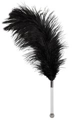 Перышко - 2491729 Feather black acrylic
