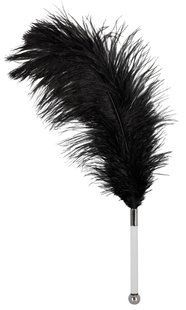 Перышко - 2491729 Feather black acrylic 513224917291000 фото