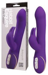 Hi-tech вібратор - Rabbit Esquire Purple Vibrator mit Klitorisreizer