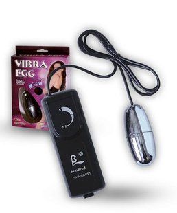 Vibro egg Silver Vibrating Egg 6603BI0001 &mdash; photos