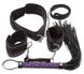 2492318 Bondage Set purple/black, handcuffs, collar, leash, whip