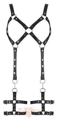 Шкіряний комплект - 2000822 Leder Harness, L/XL