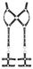 Шкіряний комплект - 2000822 Leder Harness, L/XL