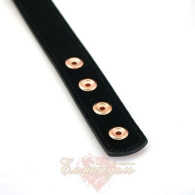 Liebe Seele Rose Gold Memory Collar With Nipple Clamps, leather SO9495 &mdash; photos