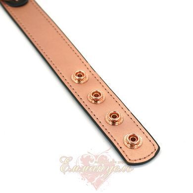 Liebe Seele Rose Gold Memory Collar With Nipple Clamps, leather SO9495 &mdash; photos