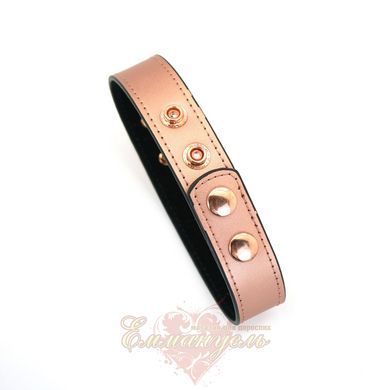 Liebe Seele Rose Gold Memory Collar With Nipple Clamps, leather SO9495 &mdash; photos